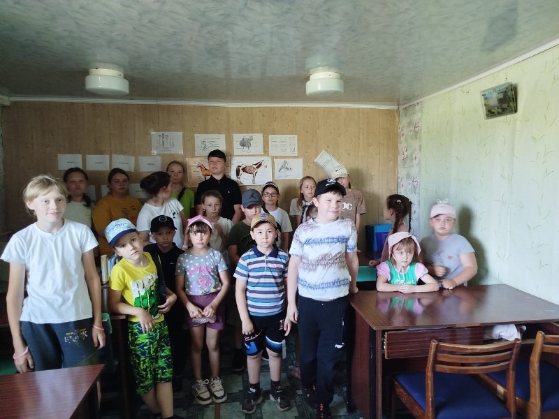 В ГОСТИ К ЛОШАДКАМ.